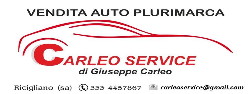 CARLEO SERVICE