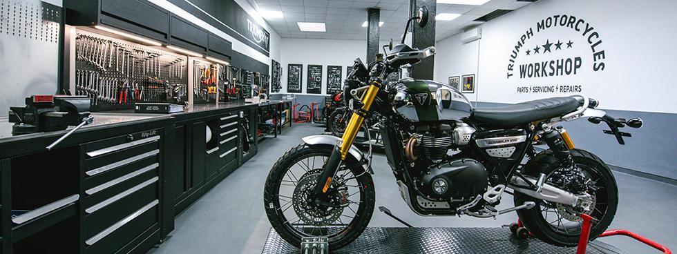 TRIUMPH SAVONA