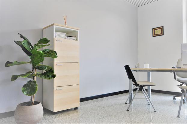TECNOCASA - AGENZIA  IMM.RE BASSO SEBINO  SRL - Capriolo | Subito