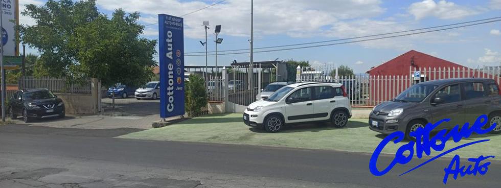 COTTONE AUTO