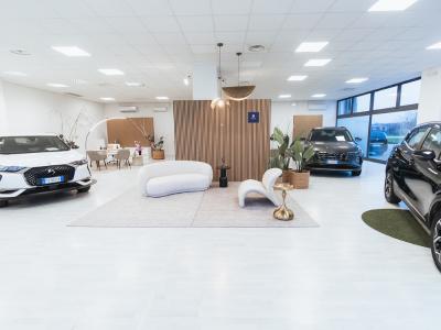 ESSE & Co | Automobili - Fiumicello Villa Vicentina | Subito