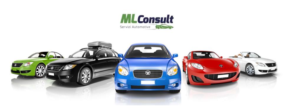 ML CONSULT