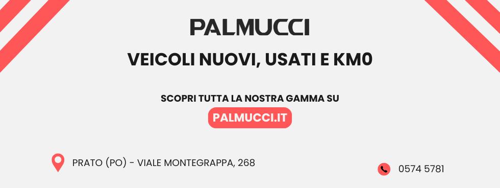 Dott.Manlio Palmucci S.p.a.