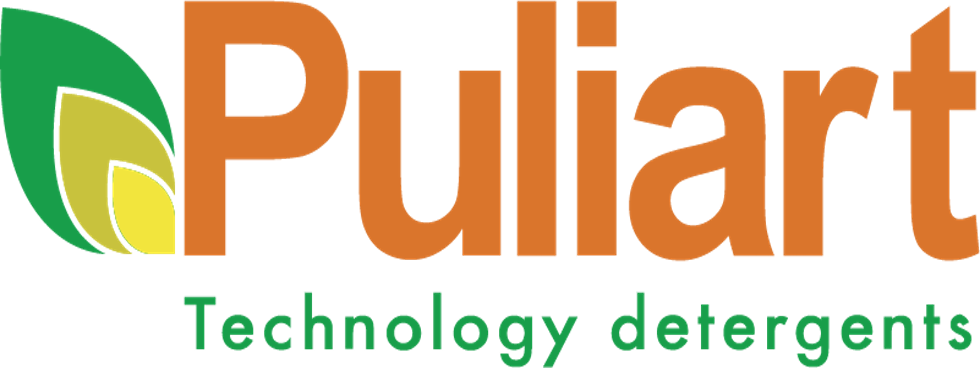 PULIART S.R.L.