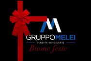Gruppo Melei srls logo