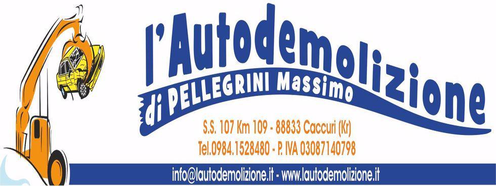 L'Autodemolizione di Massimo Pellegrini