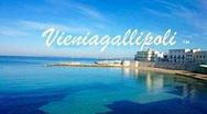 Vieni a Gallipoli logo