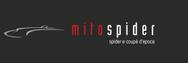 Mitospider di Badiali Emanuele logo