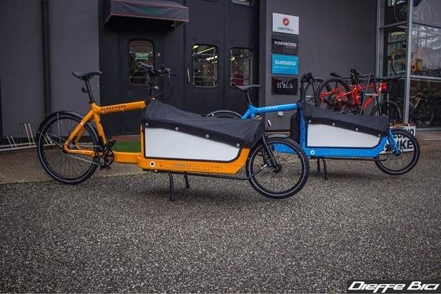 Dieffe Bici SRL - Cerea | Subito