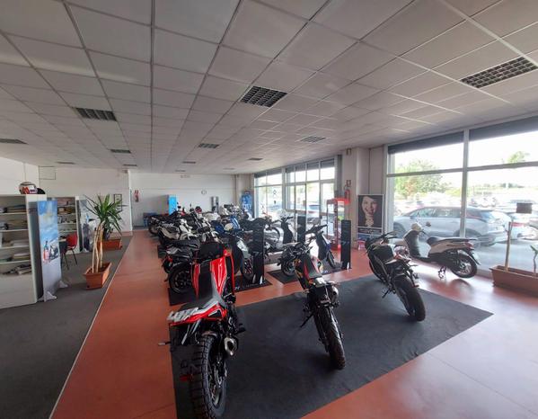 GP MOTORI GROUP SRL - Vitulazio | Subito