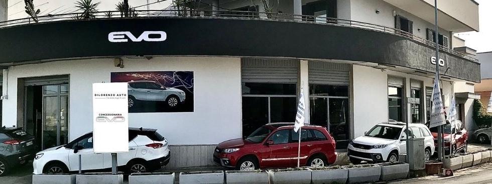 DI LORENZO AUTO GROUP