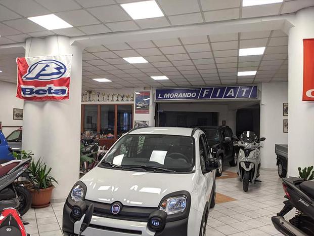 MORANDO AUTOMOTOVEICOLI - Alessandria | Subito