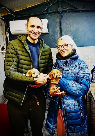 ALLEVAMENTO "QUA LA ZAMPA" - Villareggia | Subito