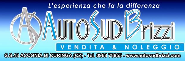 AUTOSUD BRIZZI - Curinga | Subito