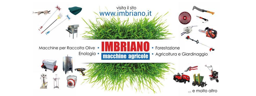 Imbriano Srl - Mirabella Eclano