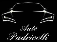 AUTO PADRICELLI logo