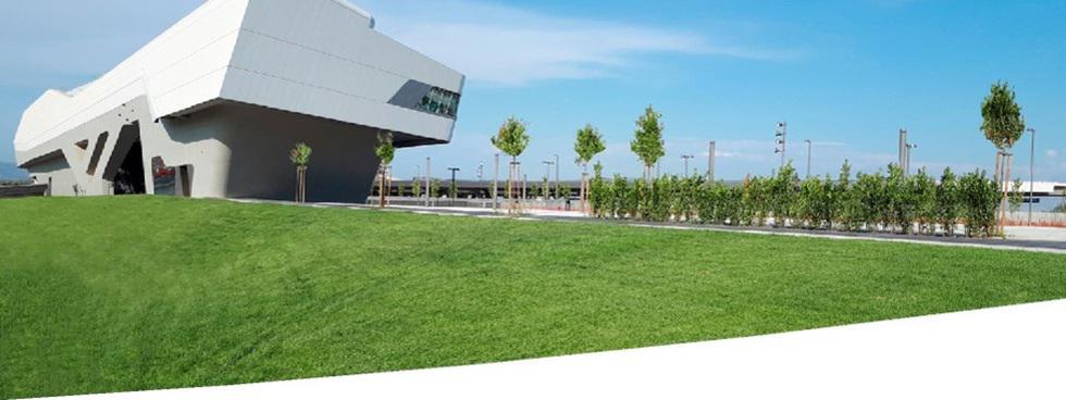 VivaiAntonioMarroneSrl