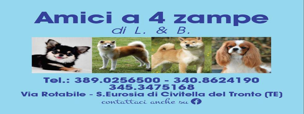 AMICI A QUATTRO ZAMPE DI L&B