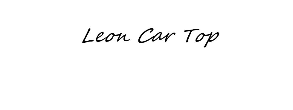 LEON CAR TOP