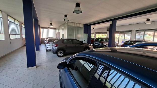 MotorGest Group S.R.L. - Borgosesia | Subito