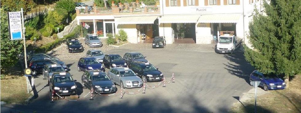 PUCCINI AUTO