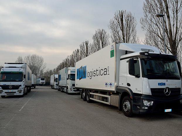 CDM LOGISTICA S.R.L. - Mira | Subito