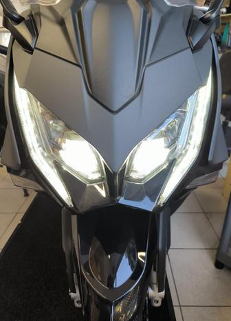 FW - Fornaro World - Bordighera | Subito