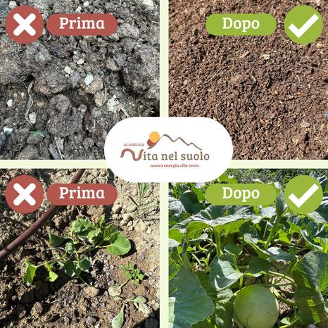 VITA NEL SUOLO - Gaggio Montano | Subito