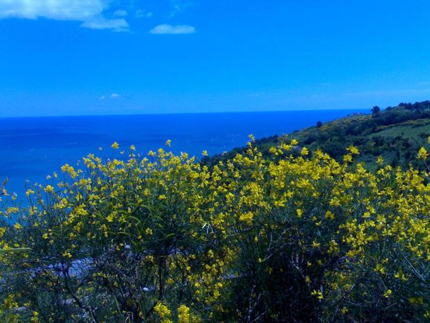 Piazza House - Ancona | Subito