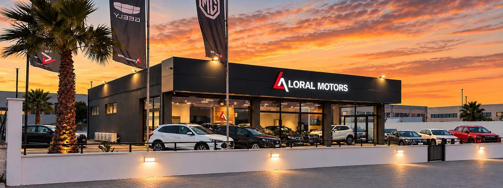 LORAL MOTORS SRL