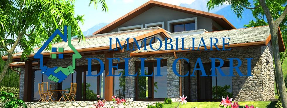 IMMOBILIARI DELLI CARRI