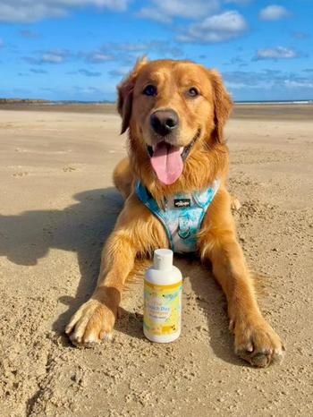 ION BEAM DI NADIA ALBERGO & C. S.N.C. - Misterbianco | Subito