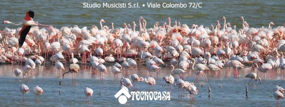 TECNOCASA - STUDIO MUSICISTI SRL