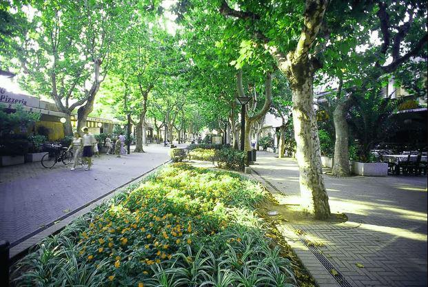 Appartamenti Estivi Bellaria Igea Marina (RN) - Bellaria-Igea Marina | Subito