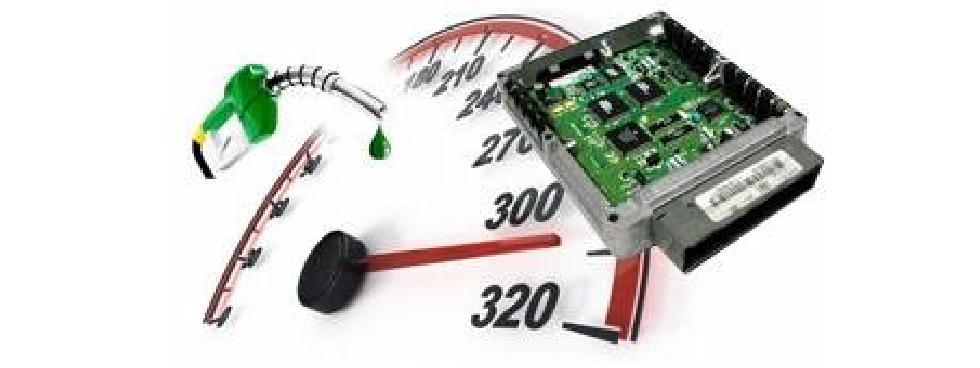 AUTOCAPUA DI MARANESI ALESSANDRO