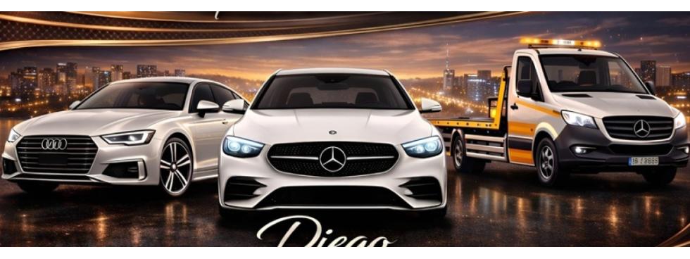 PERFORMANCE AUTO DLP