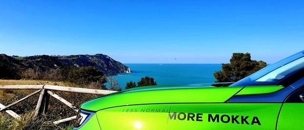 PUNTO AUTO SRL - Ancona | Subito