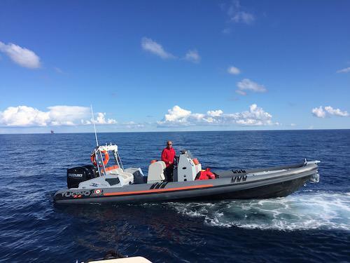 AVILARHIBS - Lomagna | Subito