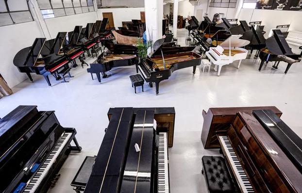 Panchetta idraulica Discacciati 810LHYDR - Bettin Pianoforti