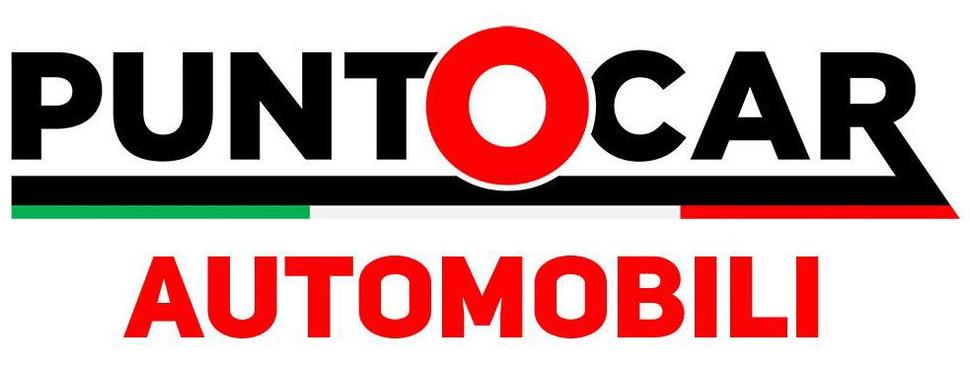 PuntoCar Divisione Usato