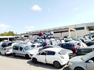 Busisi Ecologia srl - Grosseto | Subito
