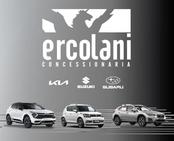 ERCOLANI AUTO SRL logo