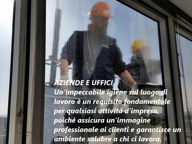 PULIVERDE Srl - Venezia | Subito