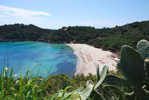 Agenzia Immobiliare Oasis - Campo nell'Elba | Subito