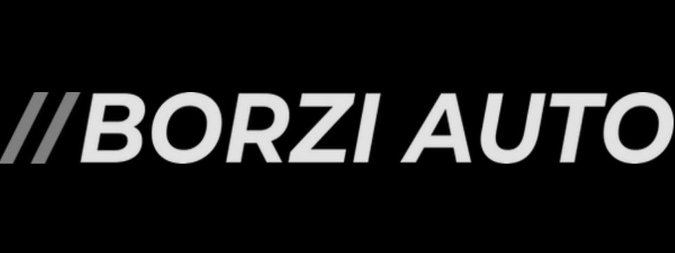 BORZI AUTO SRLS