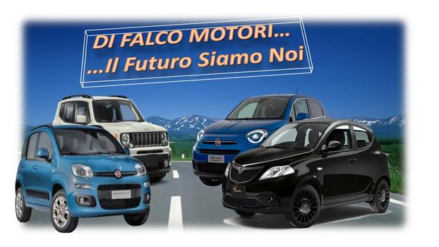 Di Falco Motori Village - Casoria | Subito