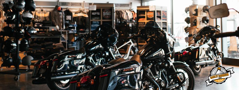 HARLEY DAVIDSON TORINO