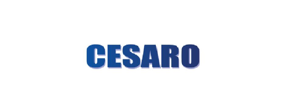 CESARO SRL