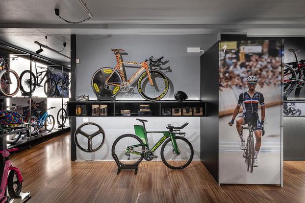 Taddei Store & Service - Santa Croce sull'Arno | Subito