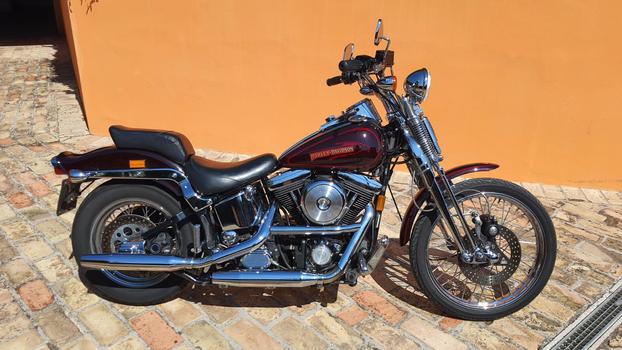 SPRINGER SRLS - Sant'Elpidio a Mare | Subito